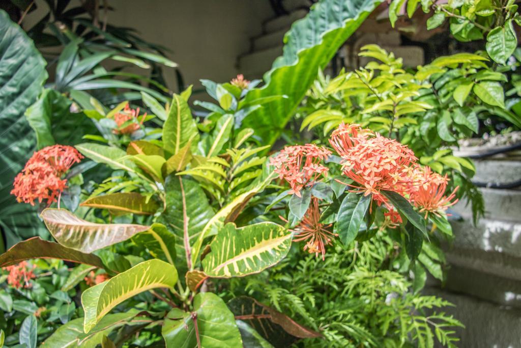 Villa Seriska Seminyak Εξωτερικό φωτογραφία